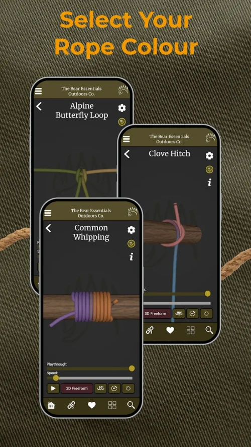 Knot IQ – The Bear Essentials