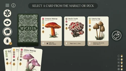 Mycelia: The Board Game