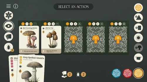 Mycelia: The Board Game
