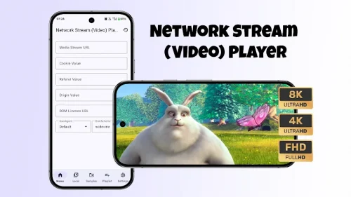 Network Stream (Video) Player