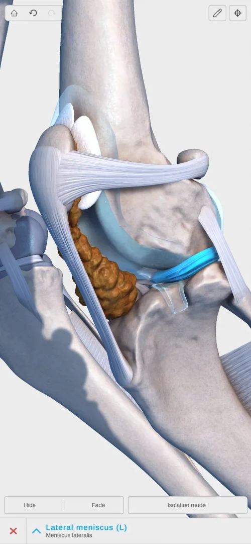 Complete Canine 3D – anatomy