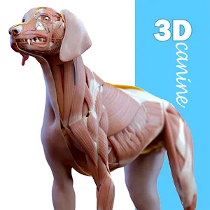 Complete Canine 3D - anatomy