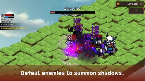 Shadow Lord : Idle