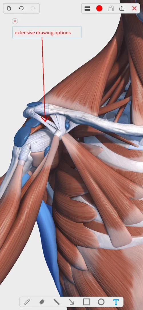 Visual Anatomy 3D – Human body