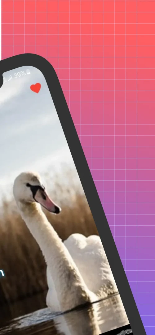 Water Reflection Photo Effects