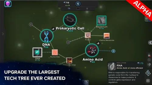[ALPHA] Cell to Singularity