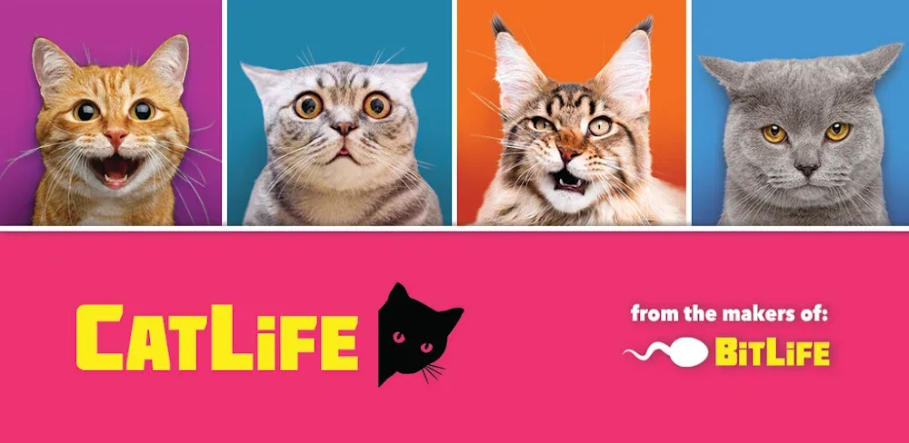 BitLife Cats – CatLife