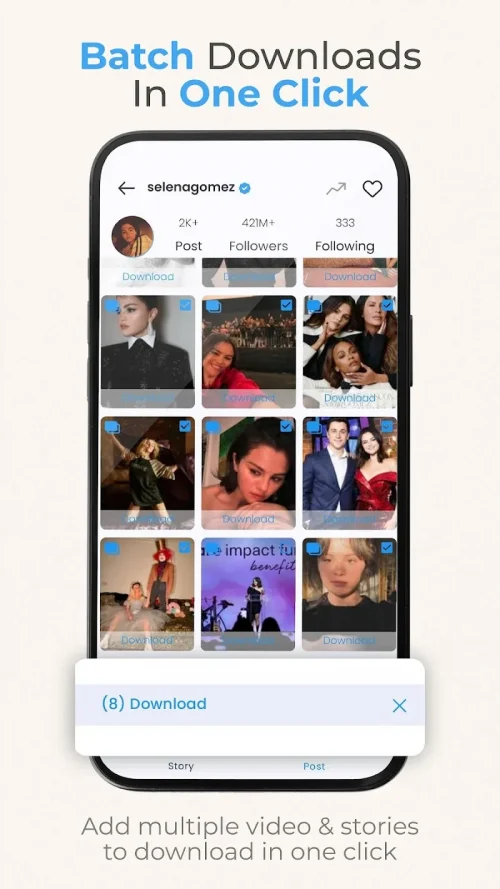 InSaver: Video & Story Saver