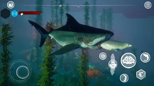 Maneater – Try & Buy