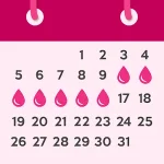 Period Tracker Ovulation Cycle
