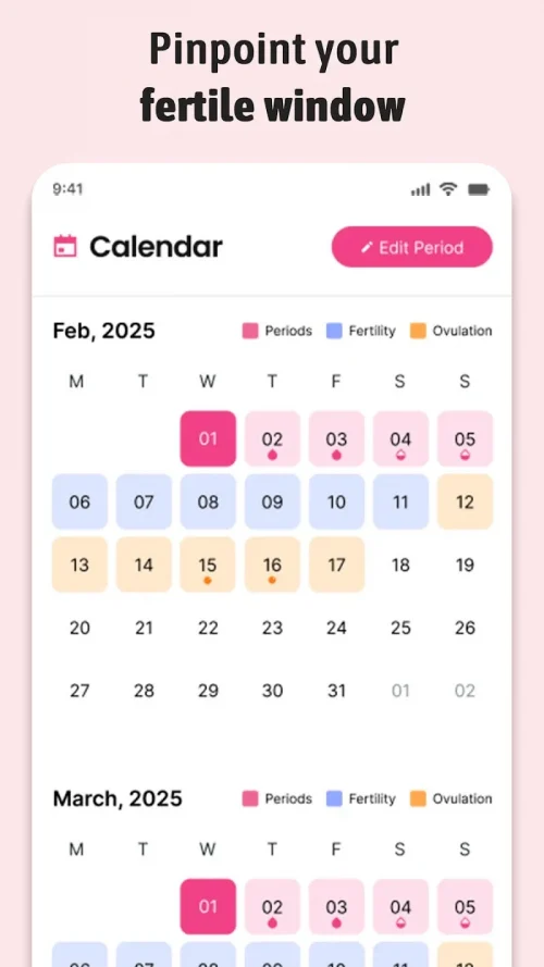 Period Tracker Ovulation Cycle