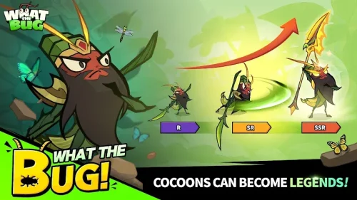 What the Bug: Three Kingdoms