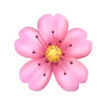 EviaCycle AI Period Ovulation