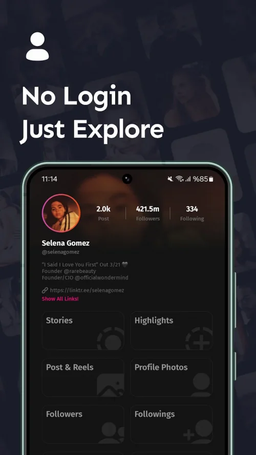 InAnalyze: Profile Viewer