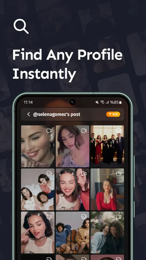 InAnalyze: Profile Viewer