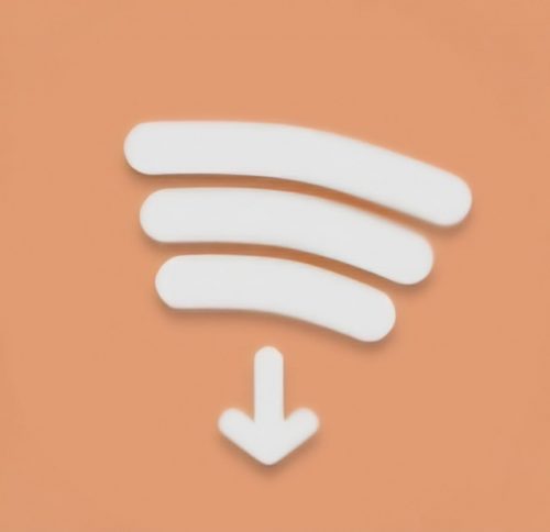 Spotify Playlist Downloader