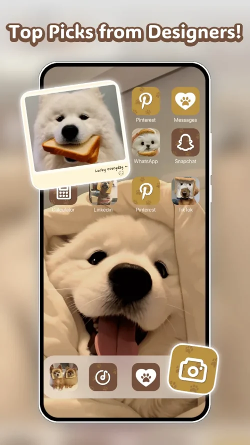 Themely – Icons & Widgets