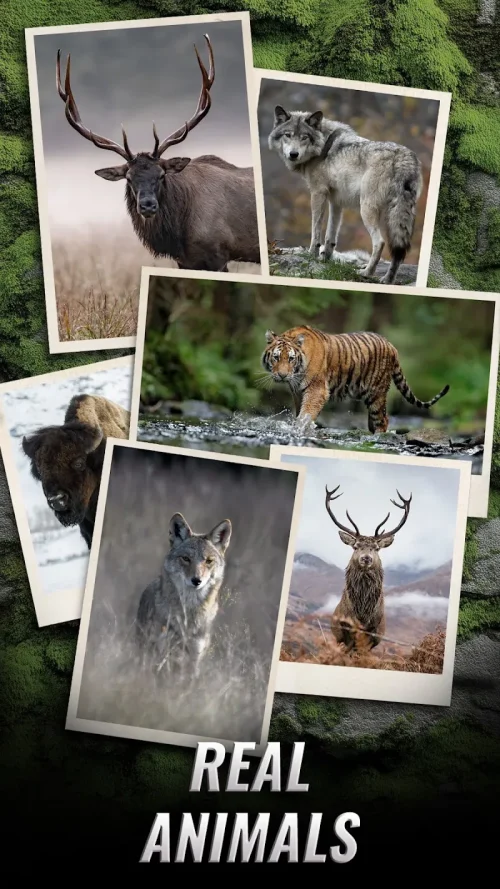 Trophy Hunter – Hunting Game