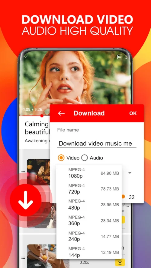 Tube Video Downloader