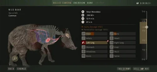 Way of the Hunter Wild Europe