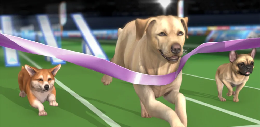 Pocket Paws: My lovely dogs