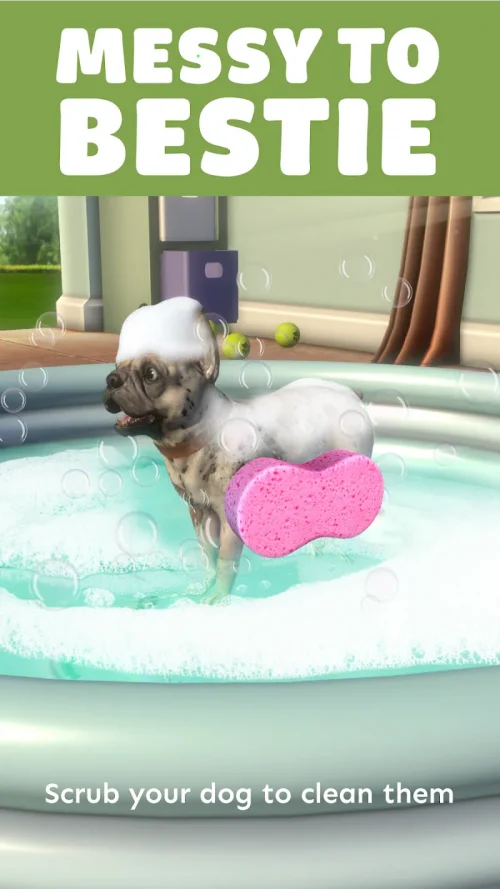 Pocket Paws: My lovely dogs