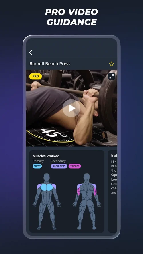 Gymverse: Gym Workout Planner