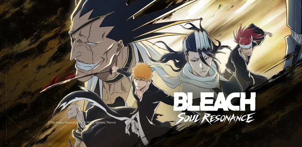 BLEACH: Soul Resonance