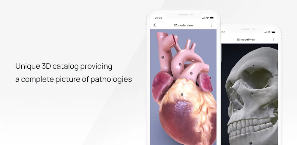 VOKA 3D Anatomy and Physiology