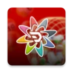 Daman Games