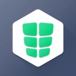 Absbee: Core & Stomach Workout