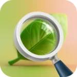 Plant Care - AI Identifier