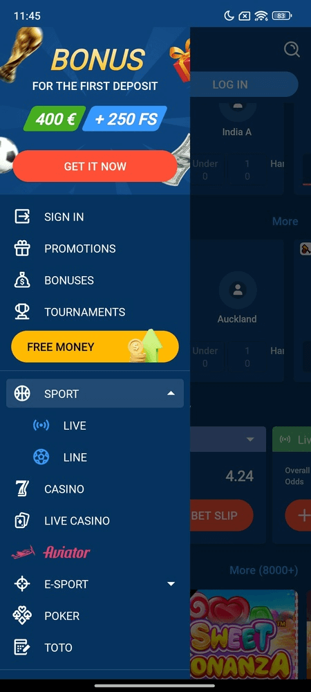 Screenshot 1