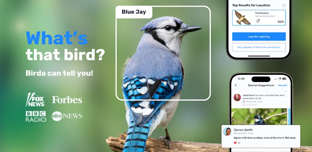 Birda – Birding Made Better
