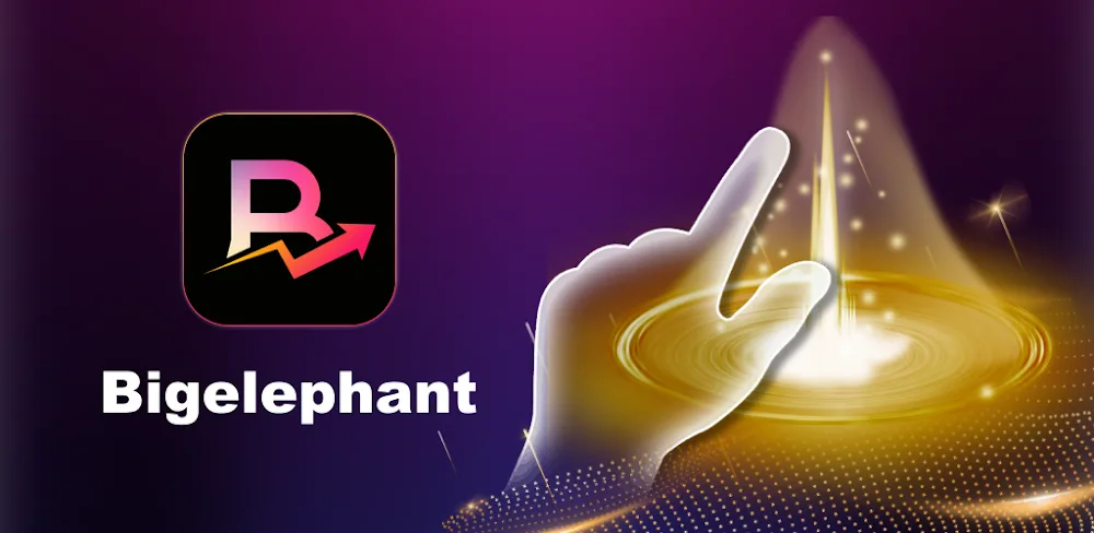 Bigelephant VPN