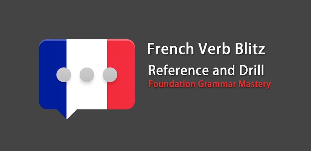 French Verb Blitz Pro