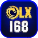 OLX168