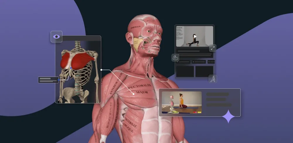 Muscle & Motion: Posture